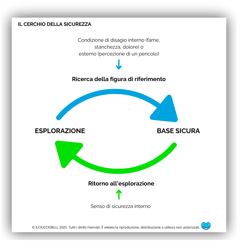 teoria dell'attaccamento di Bowlby con il cerchio della sicurezza